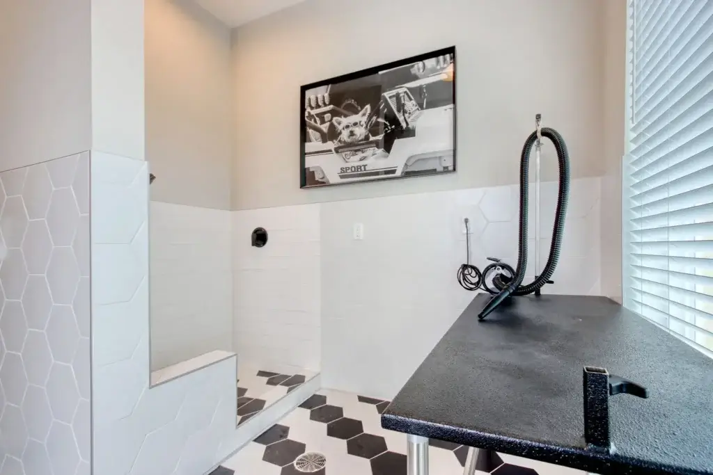 LC - The Landing at Coventry Dog Spa