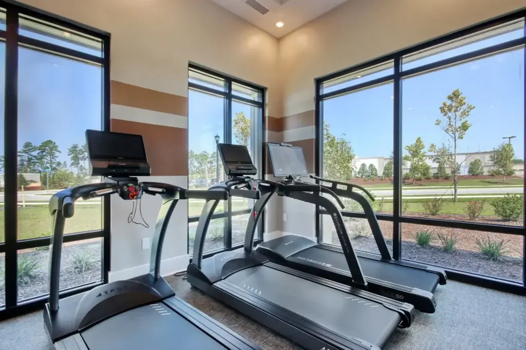 LC - The Landing at Coventry Echelon